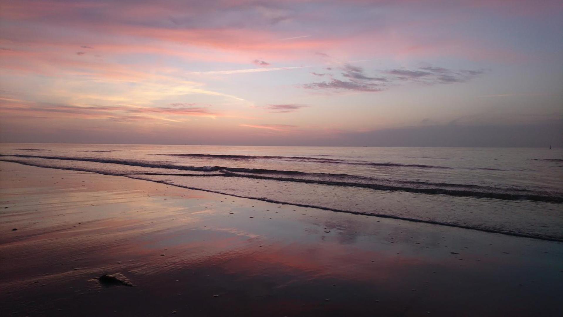 Haus Seeigel Strandflieder Norderney Luaran gambar
